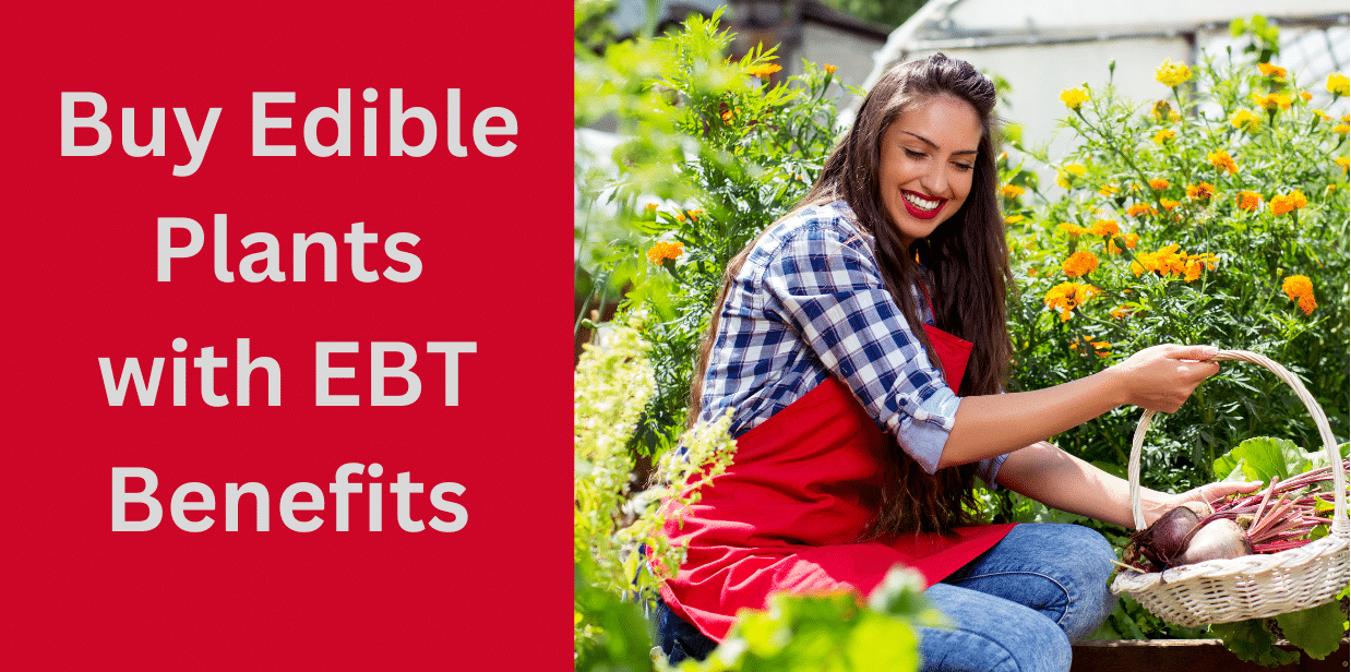 Buy Edible Plants (Vegetables) with EBT Benefits